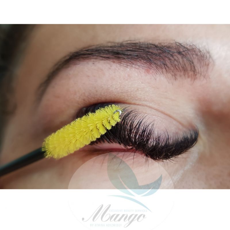 Lash Extension 19