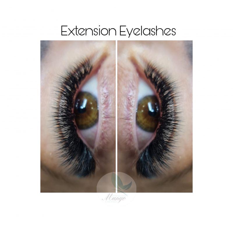 Lash Extension 2